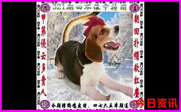 哈尔滨景点旅游攻略